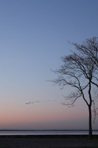 Daños por agua en Hartford, Connecticut