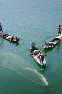 Daños por Agua Kansas