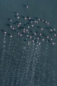 Daños por Agua en Corpus Christi, Texas