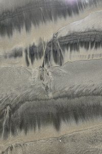 Daños por Agua en Grand Rapids, Michigan