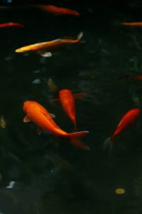 Daños por Agua en Hartford, Connecticut