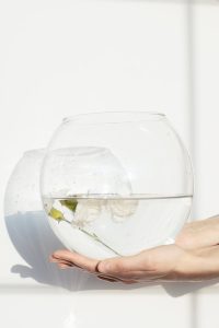 Daños por Agua en San Antonio, Texas