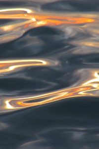 Daños por Agua en Yuma, Arizona